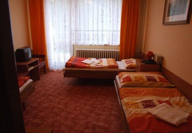 佩特尔贝兹鲁克酒店 Frýdlant nad Ostravicí 客房 照片